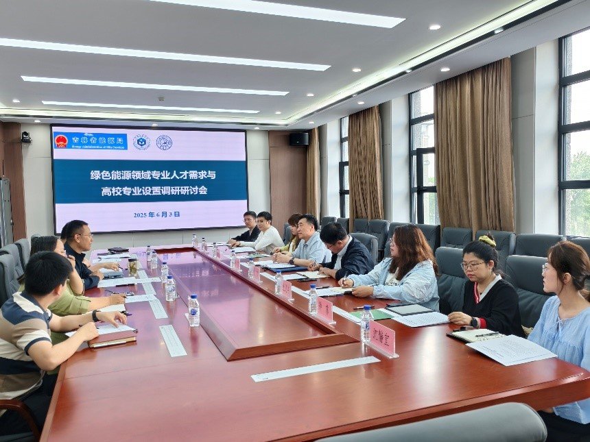 会议由辛欣副院长主持