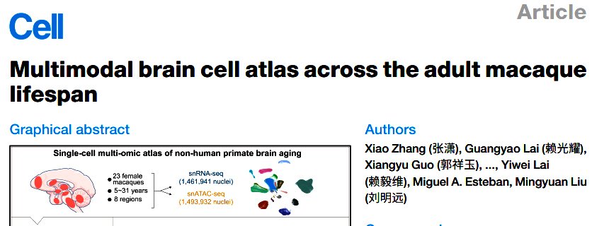国际顶级期刊《细胞》(Cell)在线